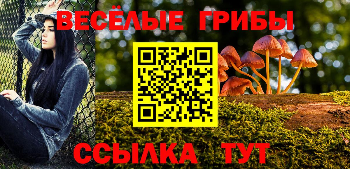 Псилоцибиновые грибы MAGIC MUSHROOMS  Галлюциногенные грибы MAGIC MUSHROOMS  Верхний Уфалей  магазин  наркотиков  Вход с VPN 